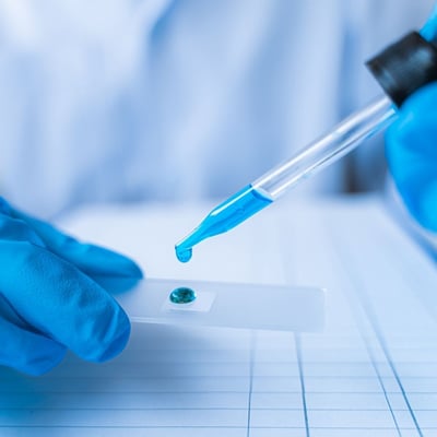 A life sciences professional reviewing regulatory documents that require accurate translation and quality control. A life sciences professional reviewing regulatory documents that require accurate translation and quality control.